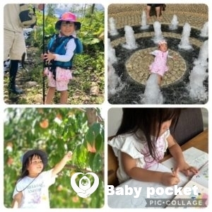 しらほしちゃん４歳のご報告