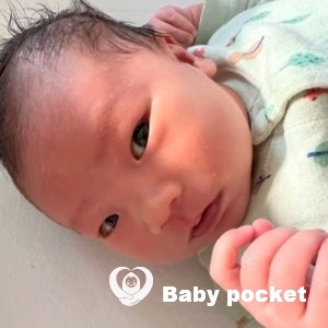 ソメイヨシノちゃんをお迎えしました!