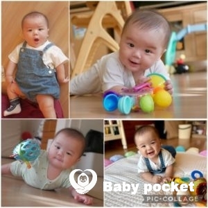 ももたま君、ハーフバースデーを迎えました！