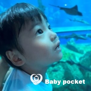 スイカくん4歳になりました!