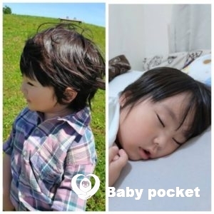 チョコ太くん5歳になりました。