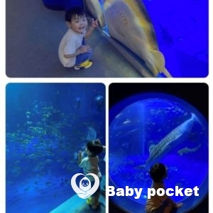 ハレくん 3歳のご報告