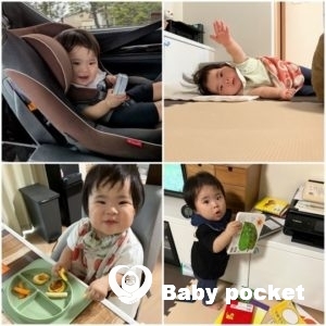 しらゆきちゃん　1歳のご報告