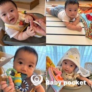 ウィリーくん ハーフバースデーのご報告