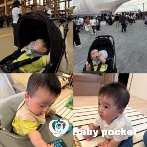 ウィリーくん ハーフバースデーのご報告