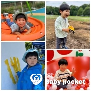 ドルフィンくん 近況のご報告