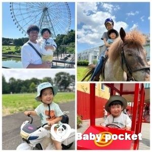 ドルフィンくん 近況のご報告