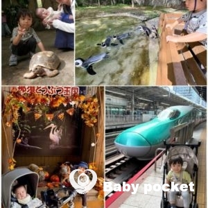 あやたか君、2歳半になりました