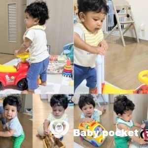 ドレミくん 生後8ヶ月のご報告