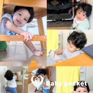 ドレミくん 生後8ヶ月のご報告