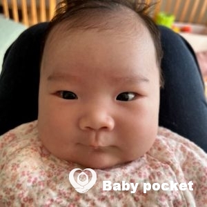 ソメイヨシノちゃん、1ヶ月検診の報告