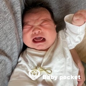 ソメイヨシノちゃん、1ヶ月検診の報告