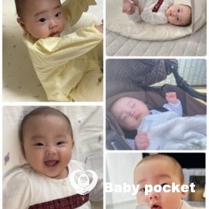 しらさぎちゃんの近況報告