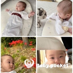 しらさぎちゃんの近況報告