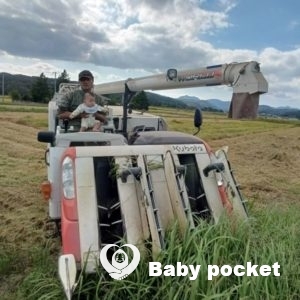 こがねもち君ハーフバースデーと温泉デビュー