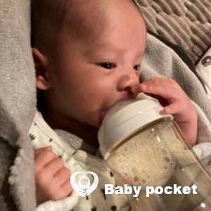 いがぐり君をお迎えしました