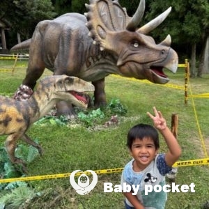 マリンくん4歳のご報告