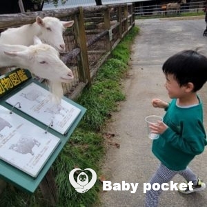 ようすけくん☆6歳になりました！