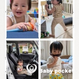 ポキールくんの1歳6ヶ月の成長のご報告