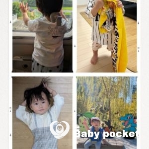 ポキールくんの1歳6ヶ月の成長のご報告