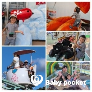 ルターくんが4歳7ヶ月になりました