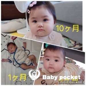 はにわちゃん、1歳になりました