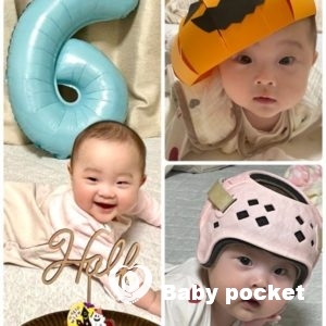 しらさぎちゃん、ハーフバースデーと近況のご報告