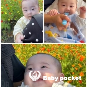 しらさぎちゃん、ハーフバースデーと近況のご報告