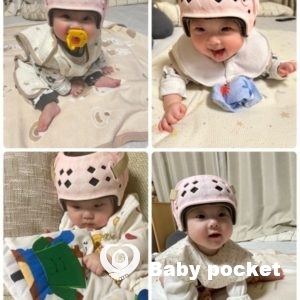 しらさぎちゃん、ハーフバースデーと近況のご報告