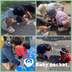 かみあり君7歳、いなさちゃん４歳半になりました