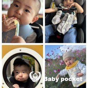 流星くん1歳の秋の思い出