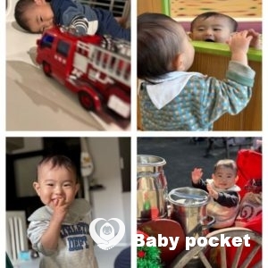 流星くん1歳の秋の思い出