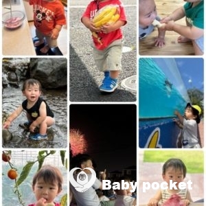 NORAME君2歳を迎えました