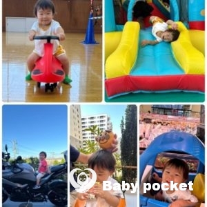 NORAME君2歳を迎えました