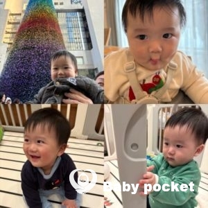 ウィリーくん 9カ月のご報告