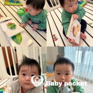 ウィリーくん ９カ月のご報告