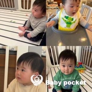 ウィリーくん 9カ月のご報告