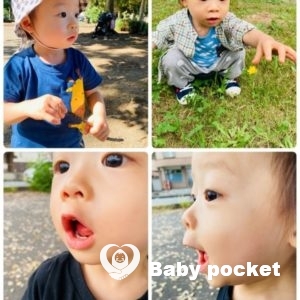 ラッキーぱんだくん　1歳9か月になりました