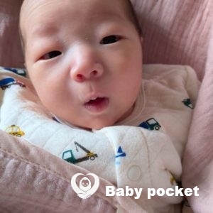 もゆちゃんをお迎えしました