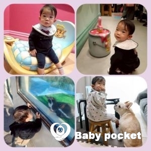 ポーター君　1歳6ヶ月近況