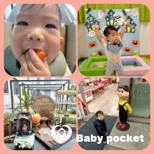 ポーター君　1歳6ヶ月近況