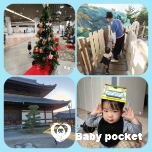 ポーター君 1歳6ヶ月近況