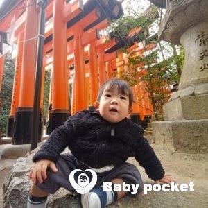 ポーター君 1歳6ヶ月近況