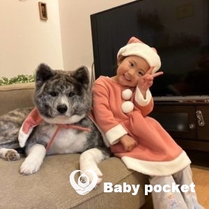 マラサダちゃん３歳４か月になりました