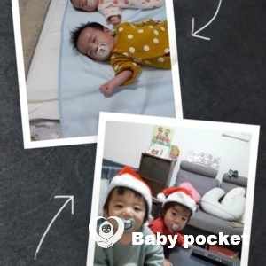 ライ君、キールちゃんが一歳4ヶ月になりました。