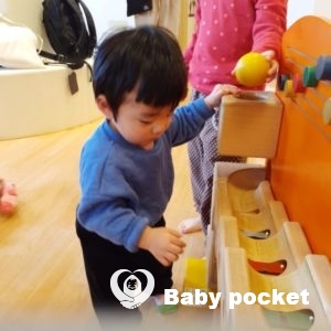 ライ君、キールちゃんが一歳4ヶ月になりました。