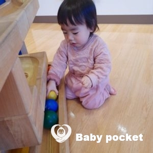 ライ君、キールちゃんが一歳４ヶ月になりました。