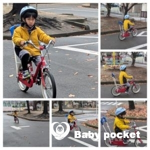 ルターくん冬休みの近況報告