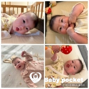 キグナスちゃん ハーフバースデーを迎えました