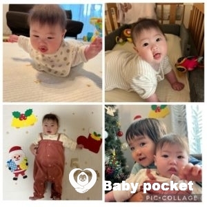 キグナスちゃん ハーフバースデーを迎えました